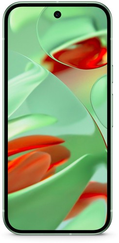 Google Pixel 9 128GB Wintergreen 5G Android Smartphone 6,3 Zoll 50MP - SEHR GUT - Bild 2 von 4