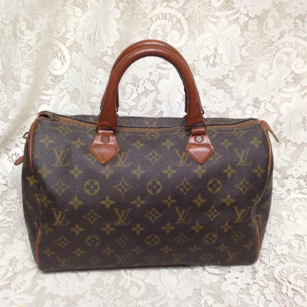 Louis Vuitton Monogram Hand Painted Speedy Bag 30 Brown