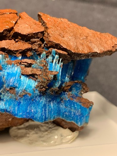 Chalkanthit, Limonit, Planet Mine, Santa Maria District, Arizona, USA - Picture 5 of 6