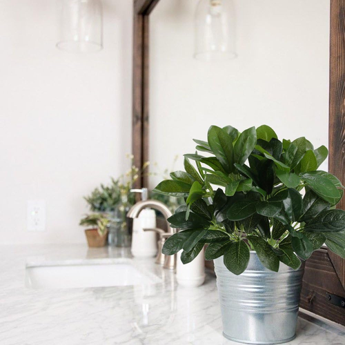 GTIDEA Artificial Shrubs Plants Fake Silk Schefflera Bushes Real Touch Faux Gree - Bild 6 von 12