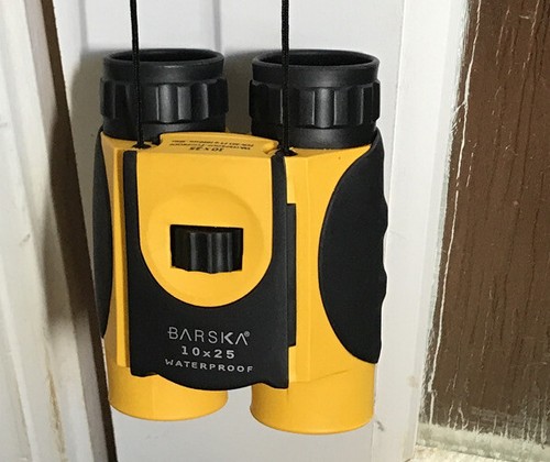 Barska Compact Water Proof Binoculars w/ Neck Strap & Carry Case CO10696 Yellow - Picture 7 of 9