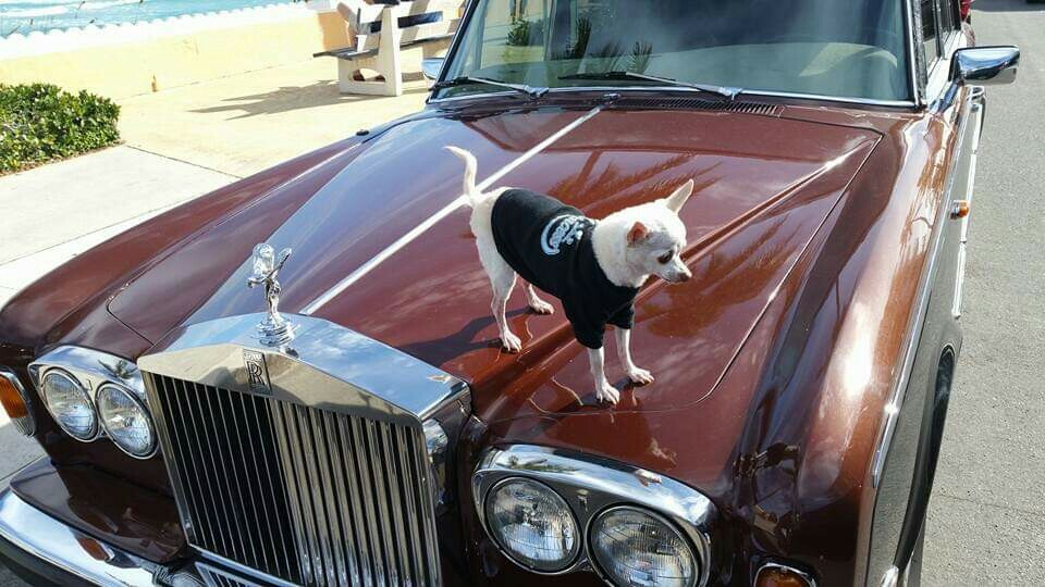ROLLS ROYCE BRAKE ACCUMULATOR AND VALVE REBUILD TOGETHER ☆ I REBUILD YOUR PARTS☆