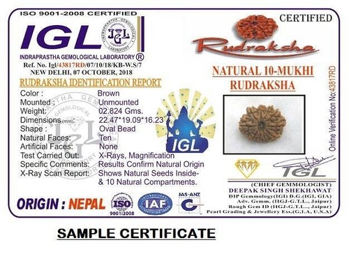 10 Mukhi Nepal Rudraksha Ten Face Lord Vishnu Silver Pendant IGL Certified - Picture 3 of 3