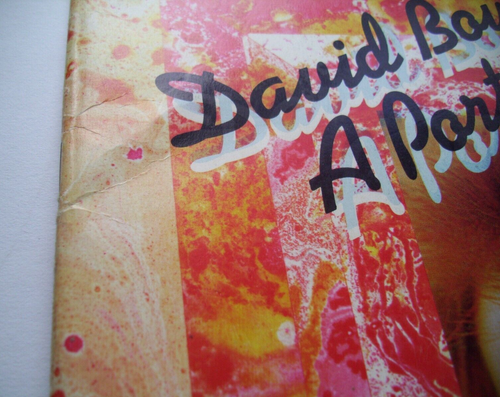 DAVID BOWIE A PORTRAIT 1973 WITH LYRICS SOFTBACK MAGAZINE/BOOK - Picture 6 of 13
