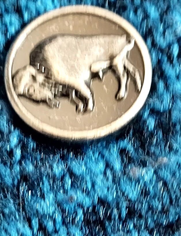 Picture 8 of 14
