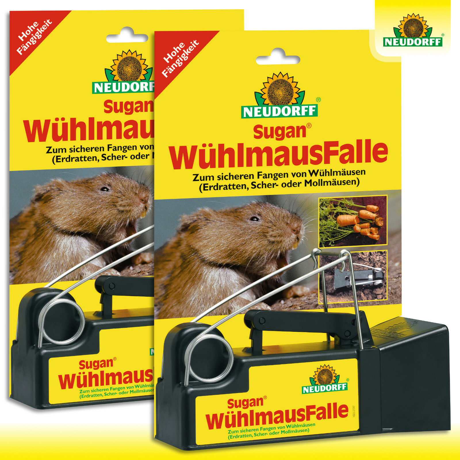 Bild 1 von 1