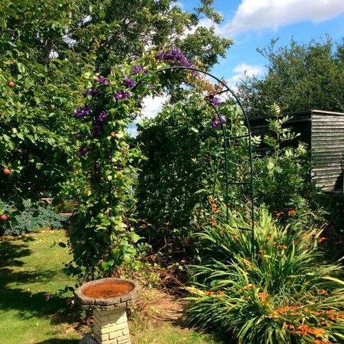 Metal Plants Garden Arch Trellis Arbour Outdoor Pergola Plant Climbing Stand AU - Picture 4 of 20