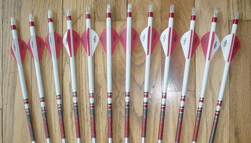 12 Carbon Express Maxima RED 350 Arrows! Blazer Vanes/Dip/Crest! CUT TO LENGTH - Bild 1 von 2