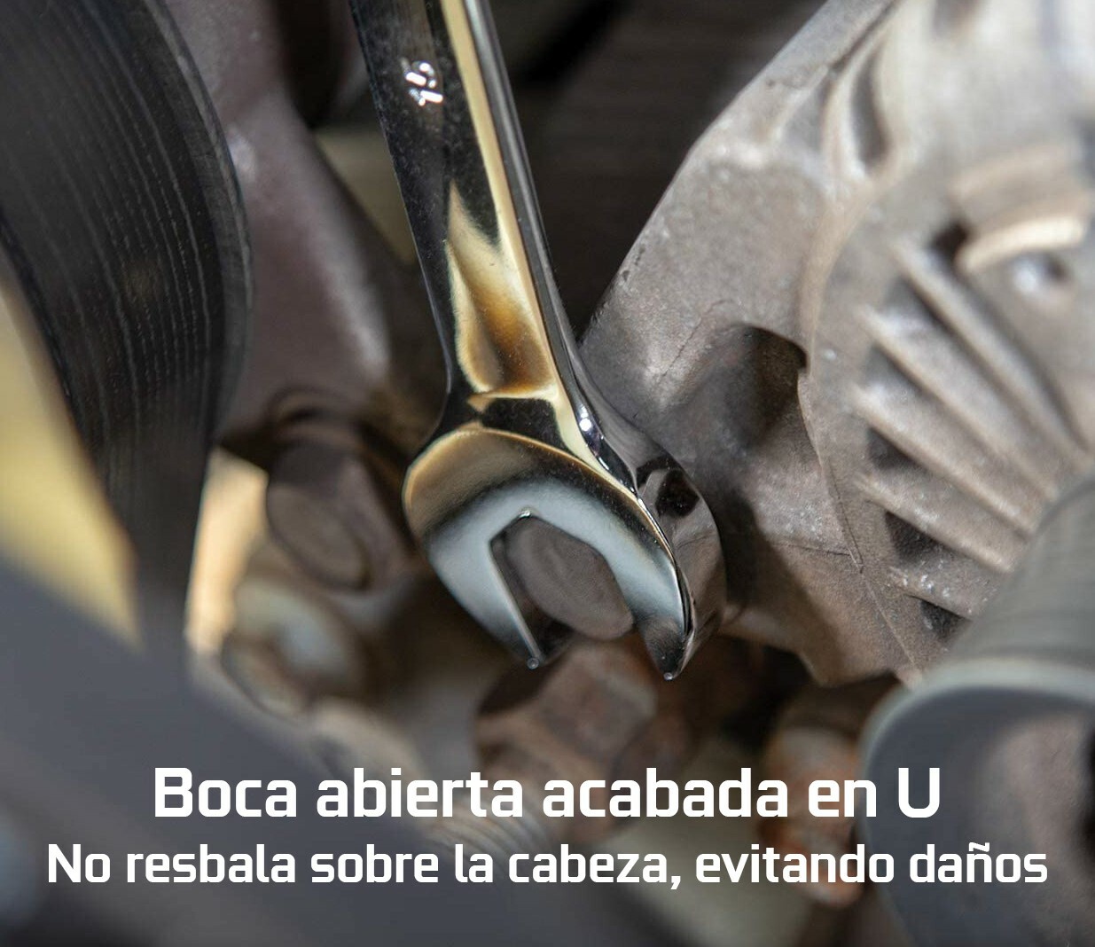 Imagen 3 de 3
