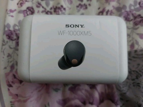 Sony WF-1000XM5 Kabellose In-Ear-Ohrhörer - Schwarz