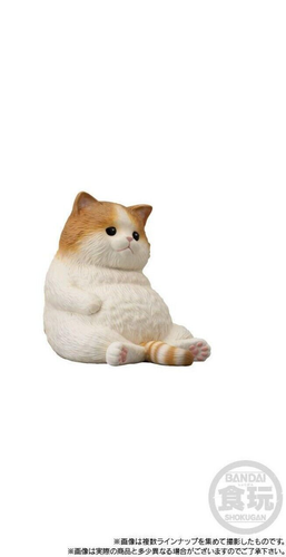 Bandai Mocchirikororin Neko Cat Soft Toy Figure Collectables - Picture 12 of 13