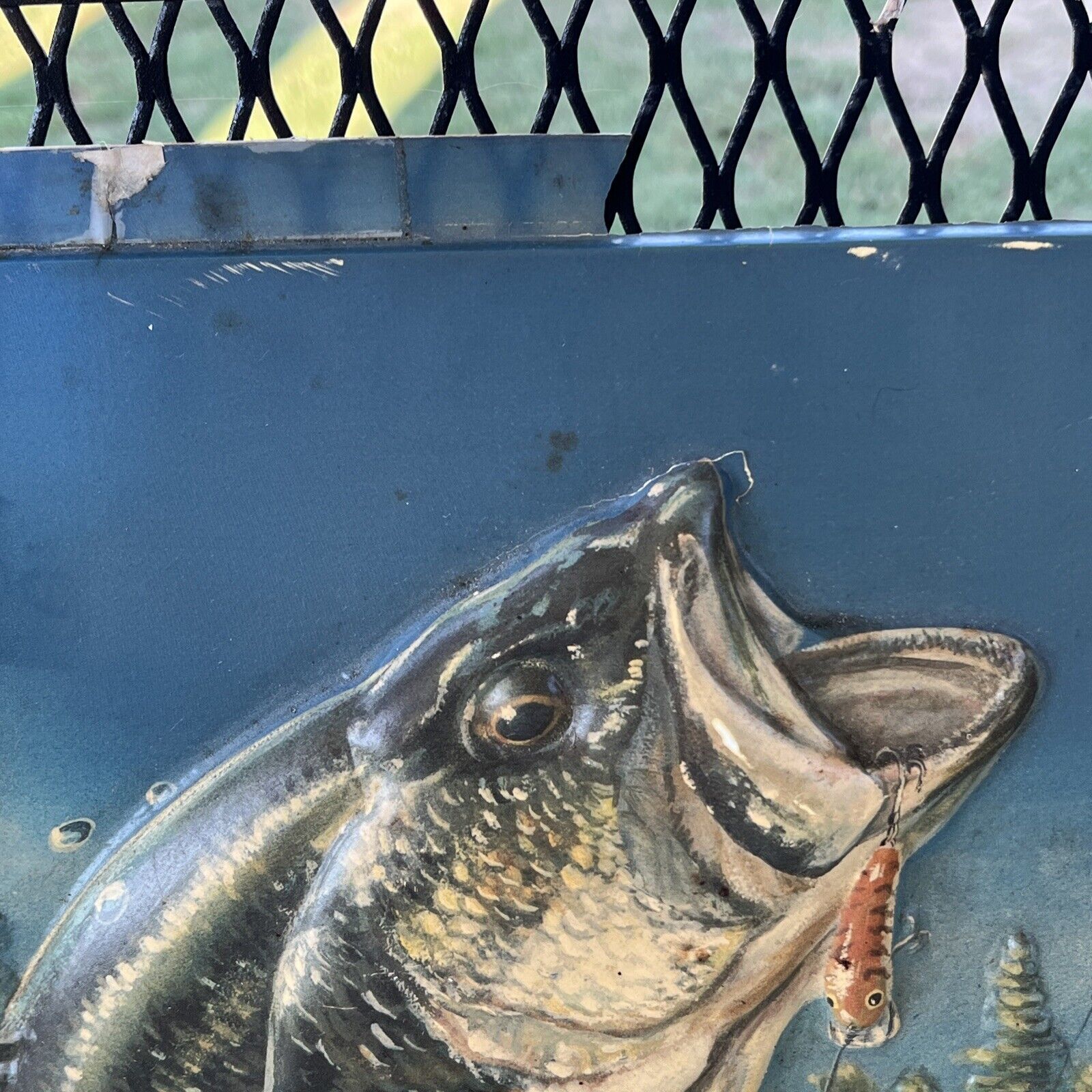 Picture 4 of 24