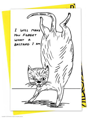 David Shrigley Rude Birthday Greetings Card Funny Comedy Humour Cheeky Joke