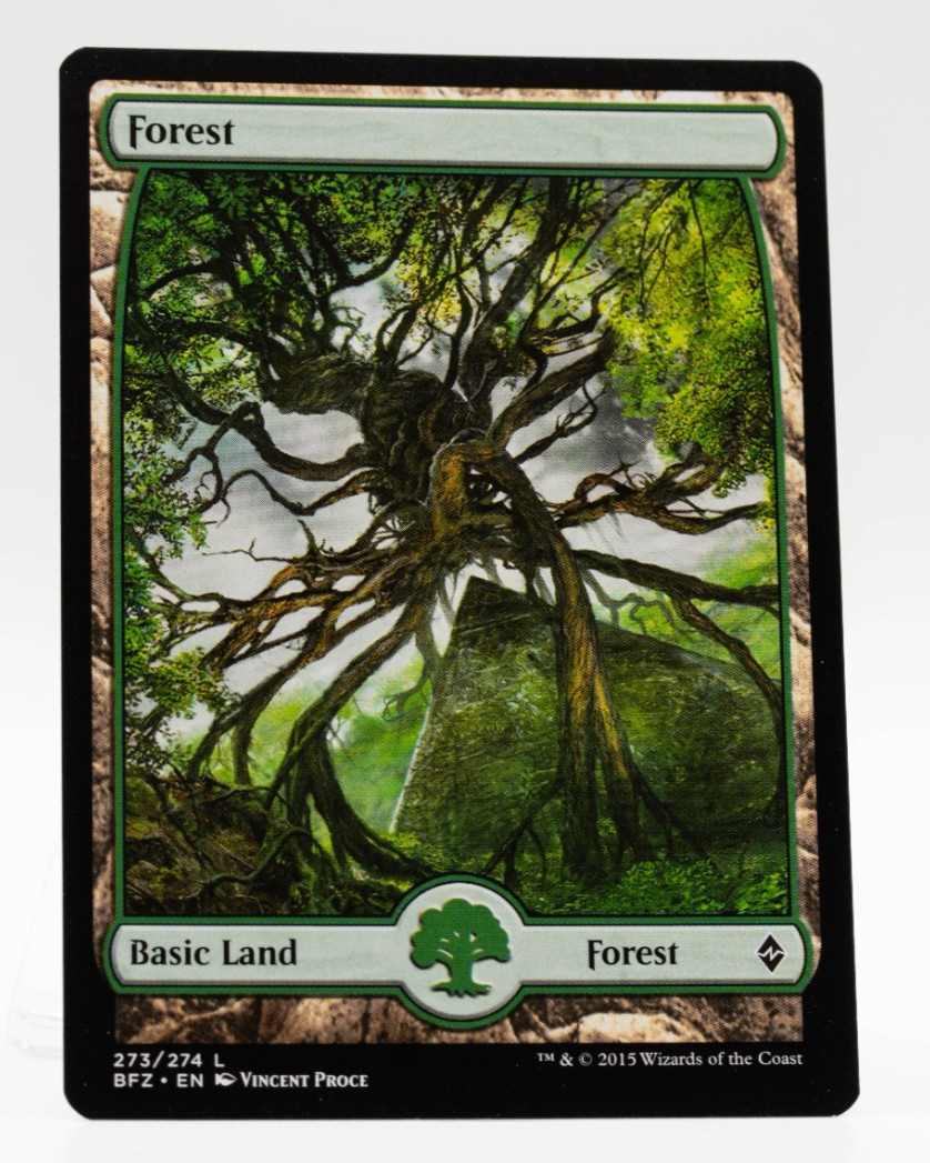 Forest 273/274 Battle for Zendikar MTG Near Mint