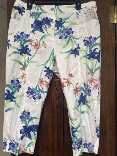 Chico’s Tropical Print Capri Pants Size 2