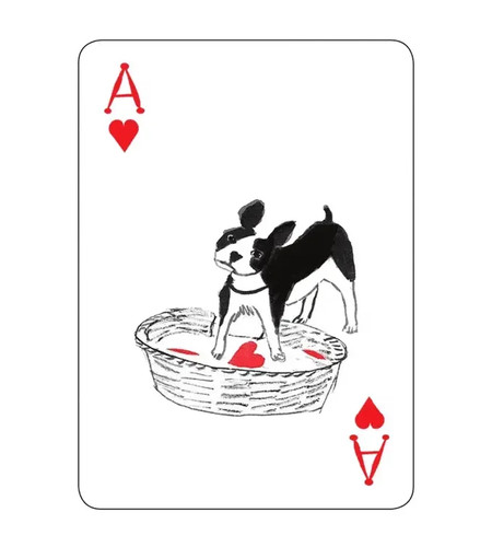 Pack of Dogs Hand-illustrated Poker Playing Cards by Artiphany, John Littleboy - Picture 8 of 12