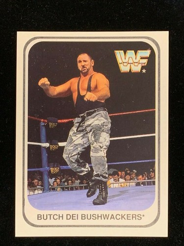 1991 WWF Merlin Wrestling Cards SINGLES #1 - #150 PICK YOUR CARD - Picture 219 of 262