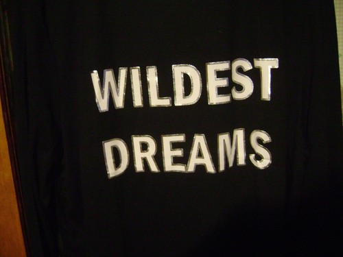 NWOT- WOMANS SIZE "XL" "WILDEST DREAMS LONG SLEEVE TEE SHIRT, TOP/BLOUSE - Picture 3 of 4