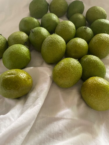 Faux Lime Lot Light weight Green Decor Staging Play - Picture 5 of 7