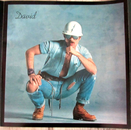 Póster grande largo de coleccionista de los 80 THE VILLAGE PEOPLE 11" x 64,5" colgador de pared #mf - Imagen 3 de 10