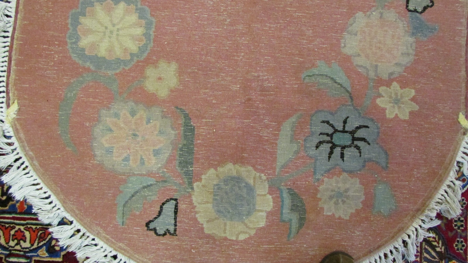 Picture 8 of 8