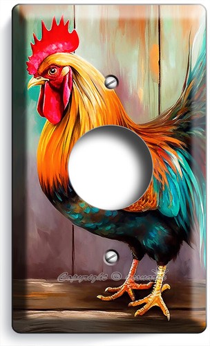 BUNTER HECKHAHN RUSTIKAL LANDHAUS LICHTSCHALTER STECKDOSE WANDTELLER BAUERNHOF DEKO - Bild 18 von 34