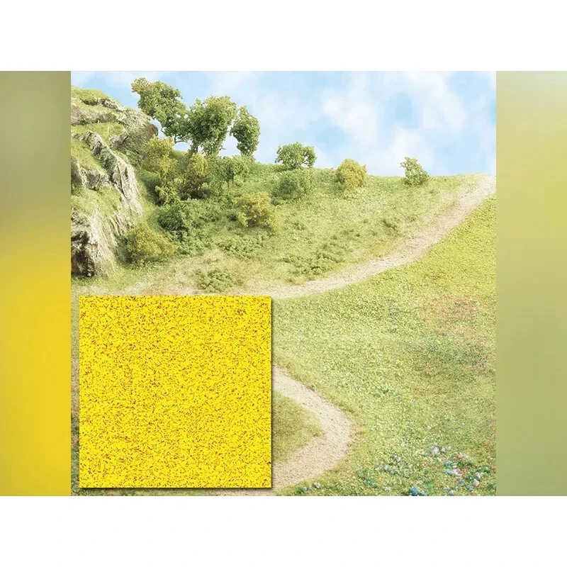 507855_3 507855_3