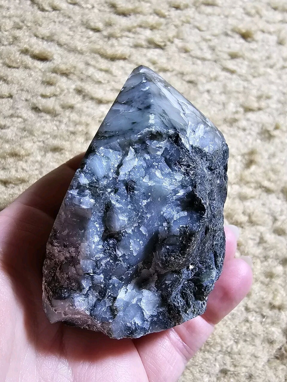 Picture 6 of 22