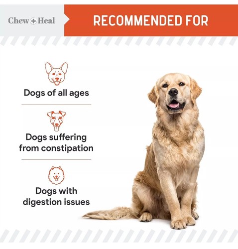 Chew+Heal Organic Pumpkin Digestive Defense for Dogs - 4 oz - 11/2026 - Bild 5 von 7