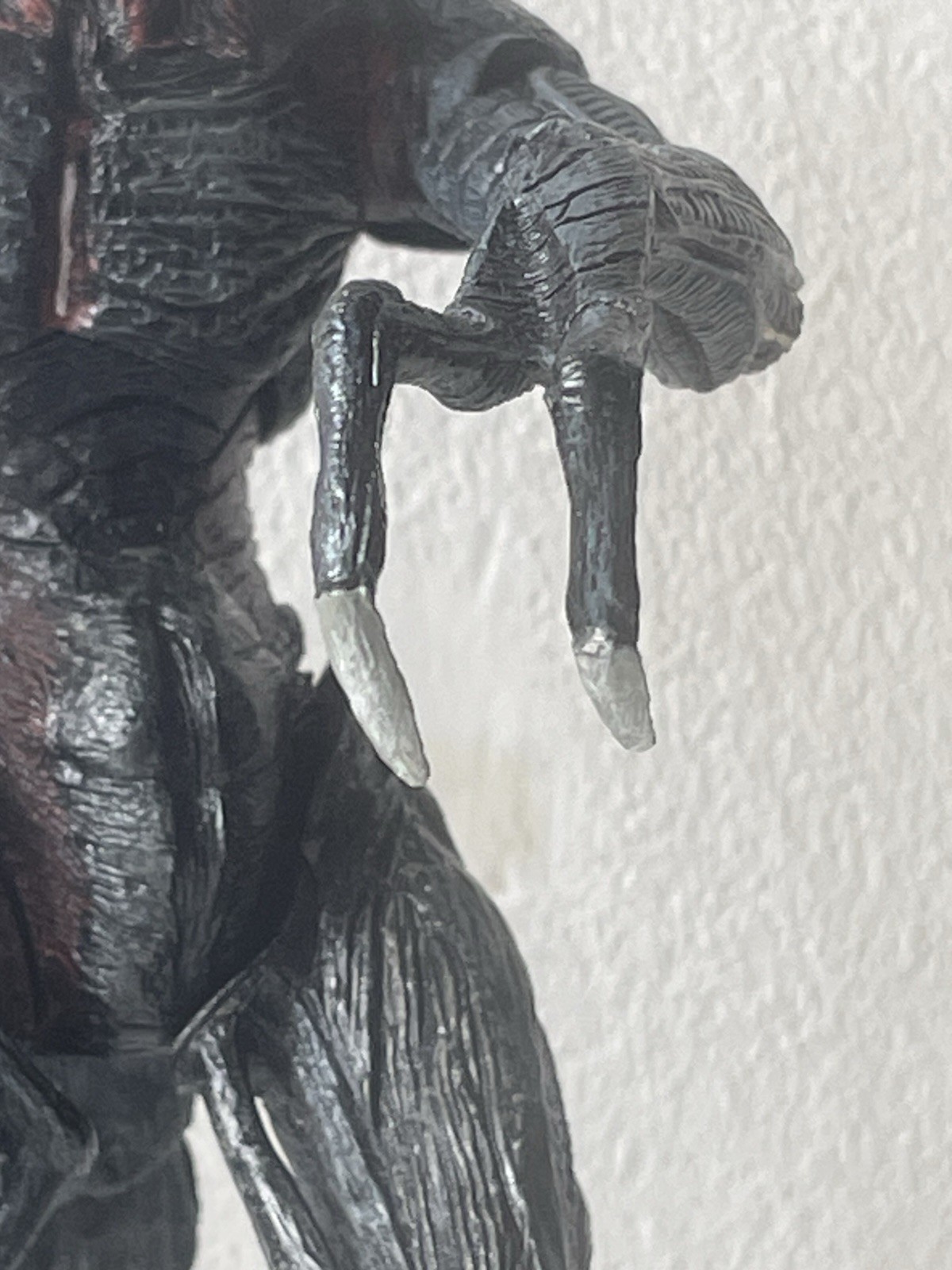 Picture 7 of 16