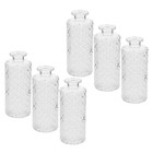  6 Pcs Durchsichtige Vase Kleine Glasvasen Für Blumen Desktop -Vase