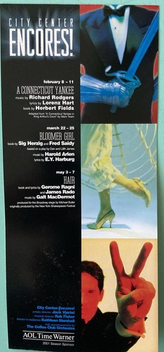 2 Sided Flyer from Hair Idina Menzel Gavin Creel 9”X4” 2001 City Center Encores! - Picture 2 of 2