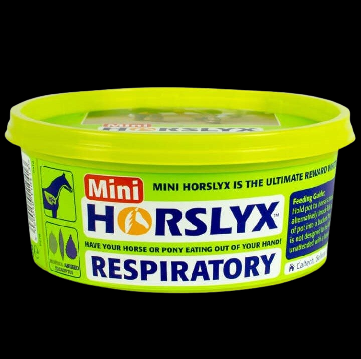 Derby Horslyx RESPIRATORY 650 g Leckschale Leckmasse Leckstein Pferd Immunsystem
