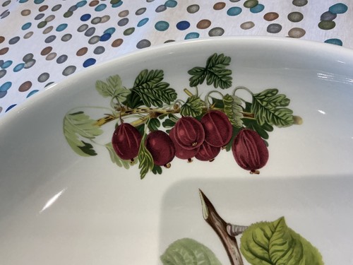 PORTMEIRION POMONA LARGE LOW FRUIT / PASTA / SERVING DISH SUSAN WILLIAMS-ELLIS - Picture 10 of 18
