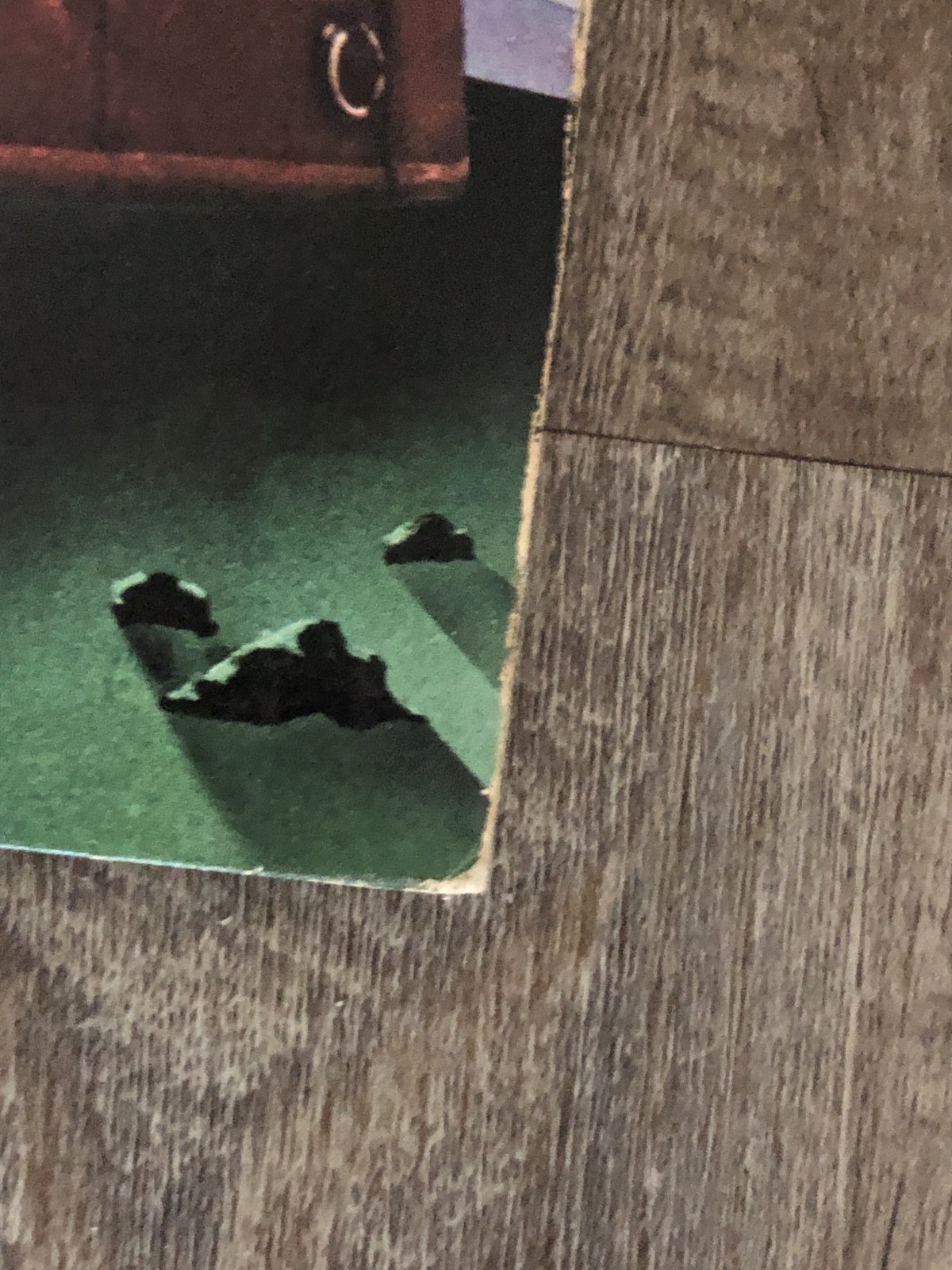 Picture 20 of 23