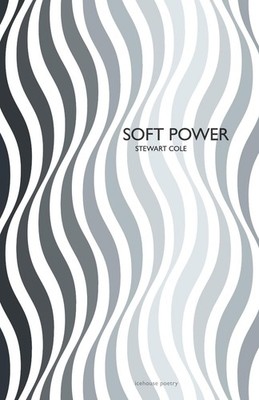 Soft Power by Stewart Cole (English) Paperback Book
