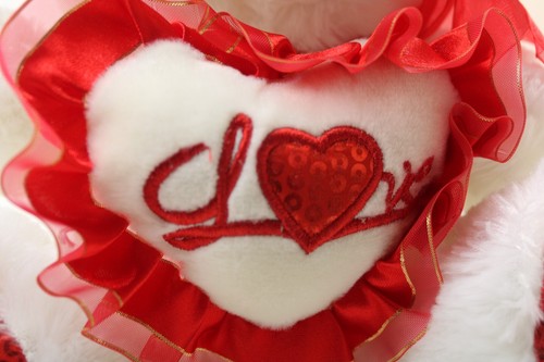 Bär Teddy Plüsch Herz Geschenk Stofftier Tag Tier Liebe Valentinstag rot Spielzeug - Bild 5 von 11