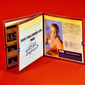 Lot 7 Set Sega Saturn Virtua Fighter 1 2 Remix Kids Mega Mix Vipers Wrestring JP