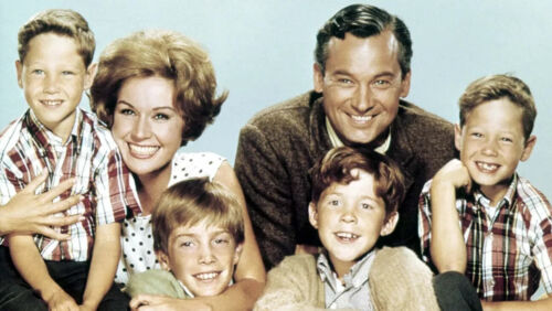 Please Don't Eat the Daisies (1965) Classic TV 38 Episodes On DVD - Picture 3 of 3