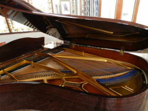 Bluthner Grand piano1990 Mdl 6 by Steinway Specialist in Australia free delivery - Picture 2 of 6