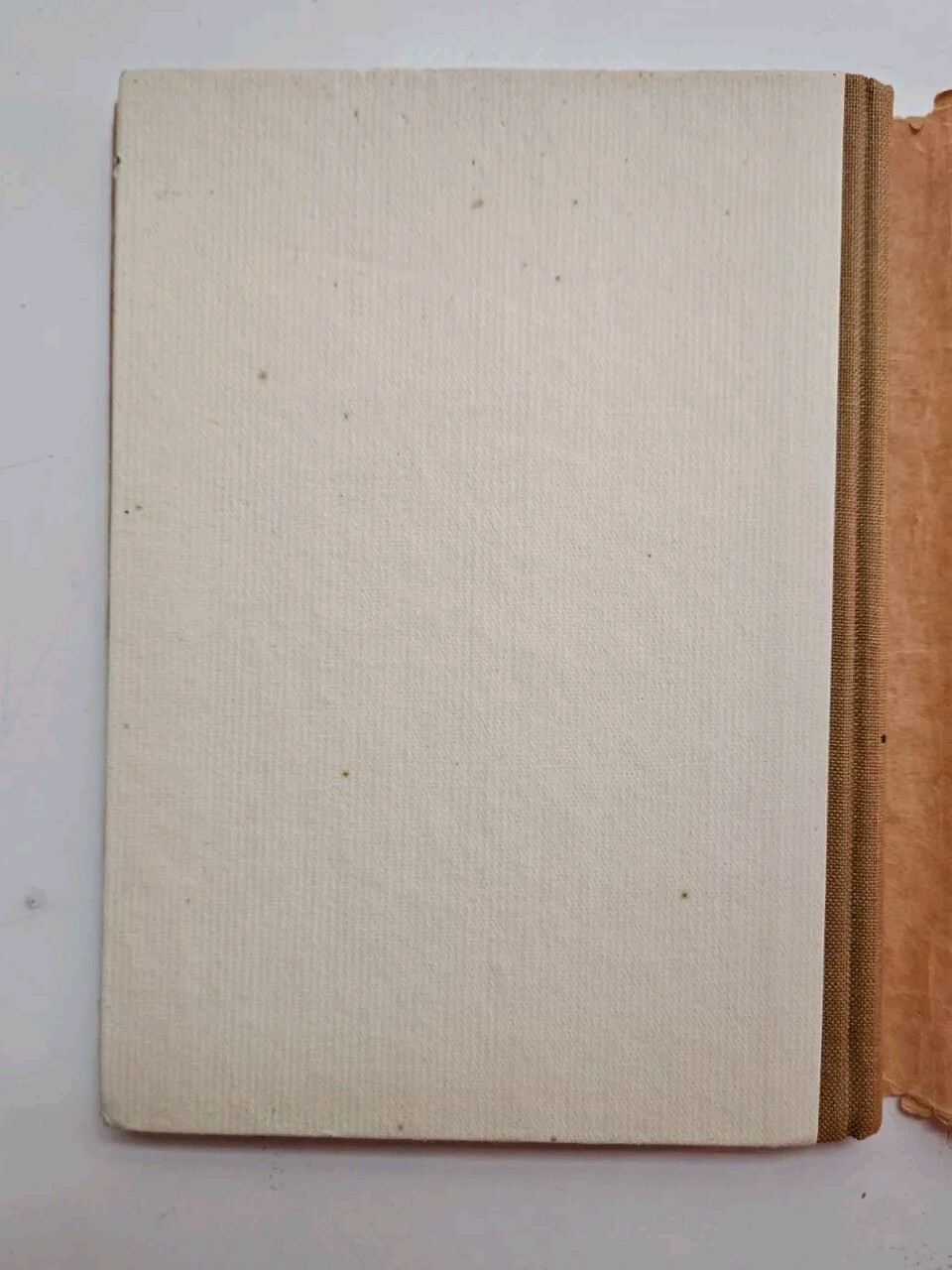 Picture 11 of 12
