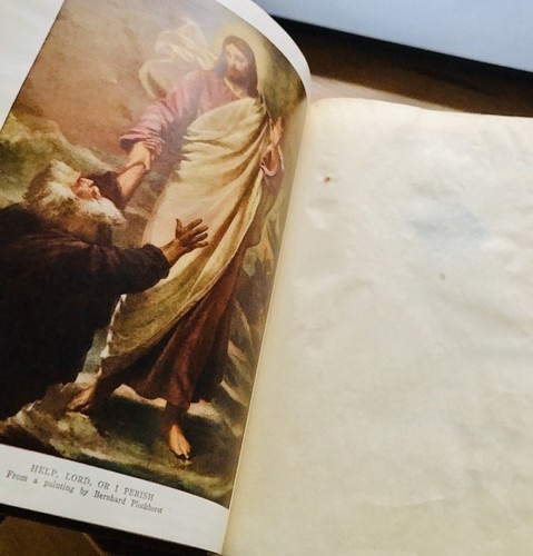 1925 THE BIBLE STORY by The University Society of New York Mint Condition HC๐๐ - Picture 5 of 8