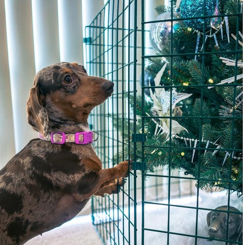 Weihnachtsbaumzaun - Weihnachtsbaum Haustierschutz, Zaun um Weihnachtsbaum, Weihnachten - Bild 4 von 7