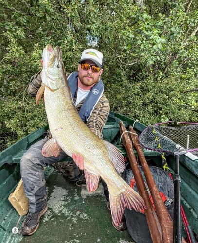 Pike - 5 Fly Casting Pack - 7/8" 5/0 inchesFor Lure Or Fly Rods Mcfluffchucker - Picture 23 of 23