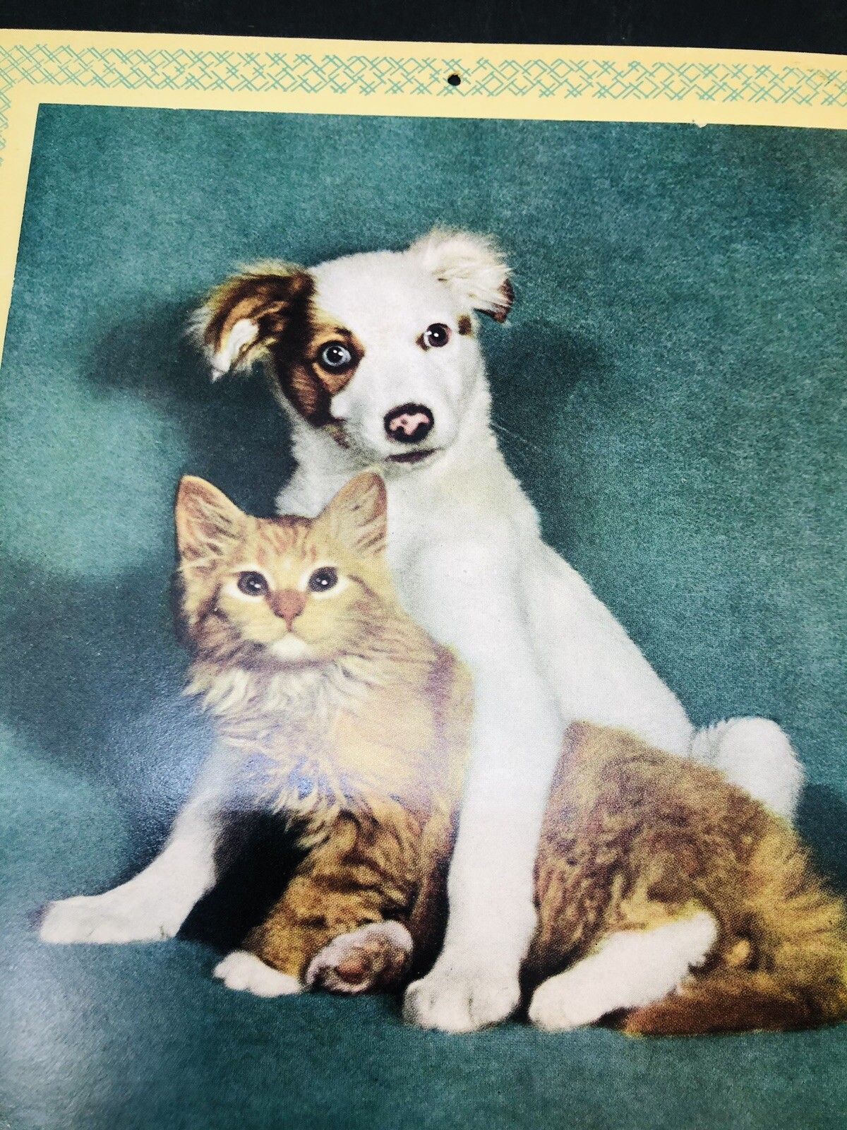 Picture 2 of 11