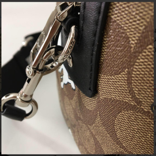 Coach x Peanuts Snoopy Rowan Satchel Bag Hand Boston Tote C4118 OUtlet New - Picture 6 of 9
