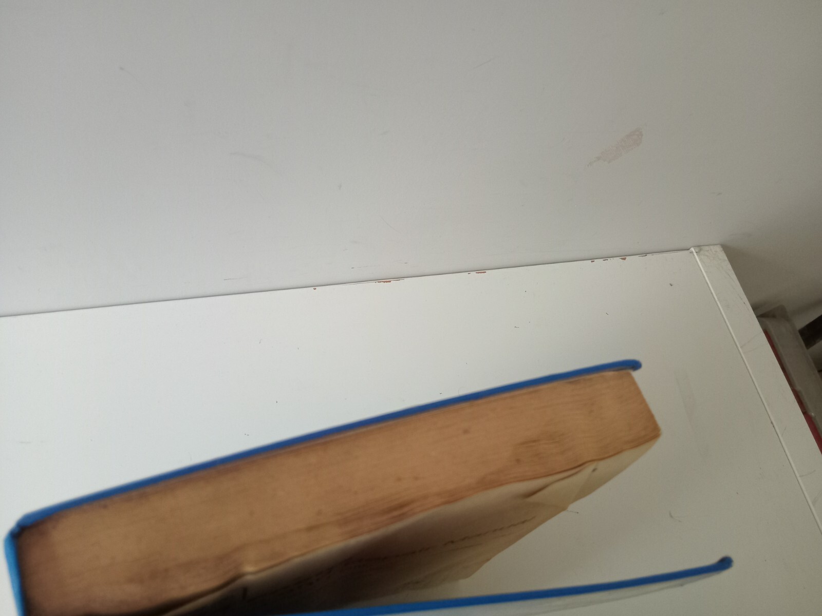 Picture 10 of 11