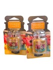New Yankee Candle Color Me Happy Set of 2 car Jar Ultimate Air Freshener HTF