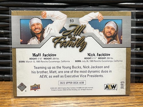 2023 Upper Deck AEW - Base and Parallels Singles PICK FROM LIST - Picture 193 of 195