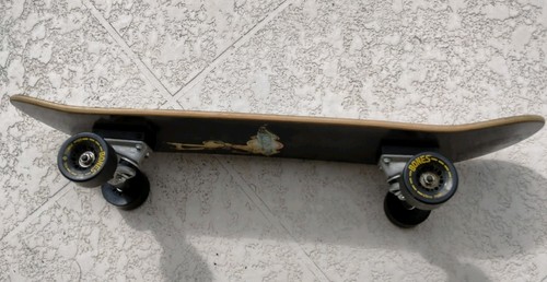 Vintage Evol Skateboard Powell Bones Wheels Thunder Tfour Trucks USA Misha Deck - Picture 8 of 24
